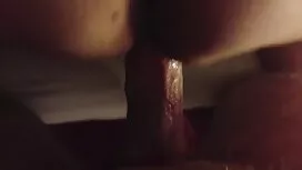 Tra mogli troie vide ...