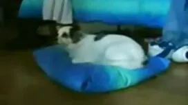 Sorella, moglie zocc ...