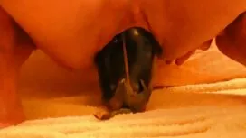 Video porno per inse ...
